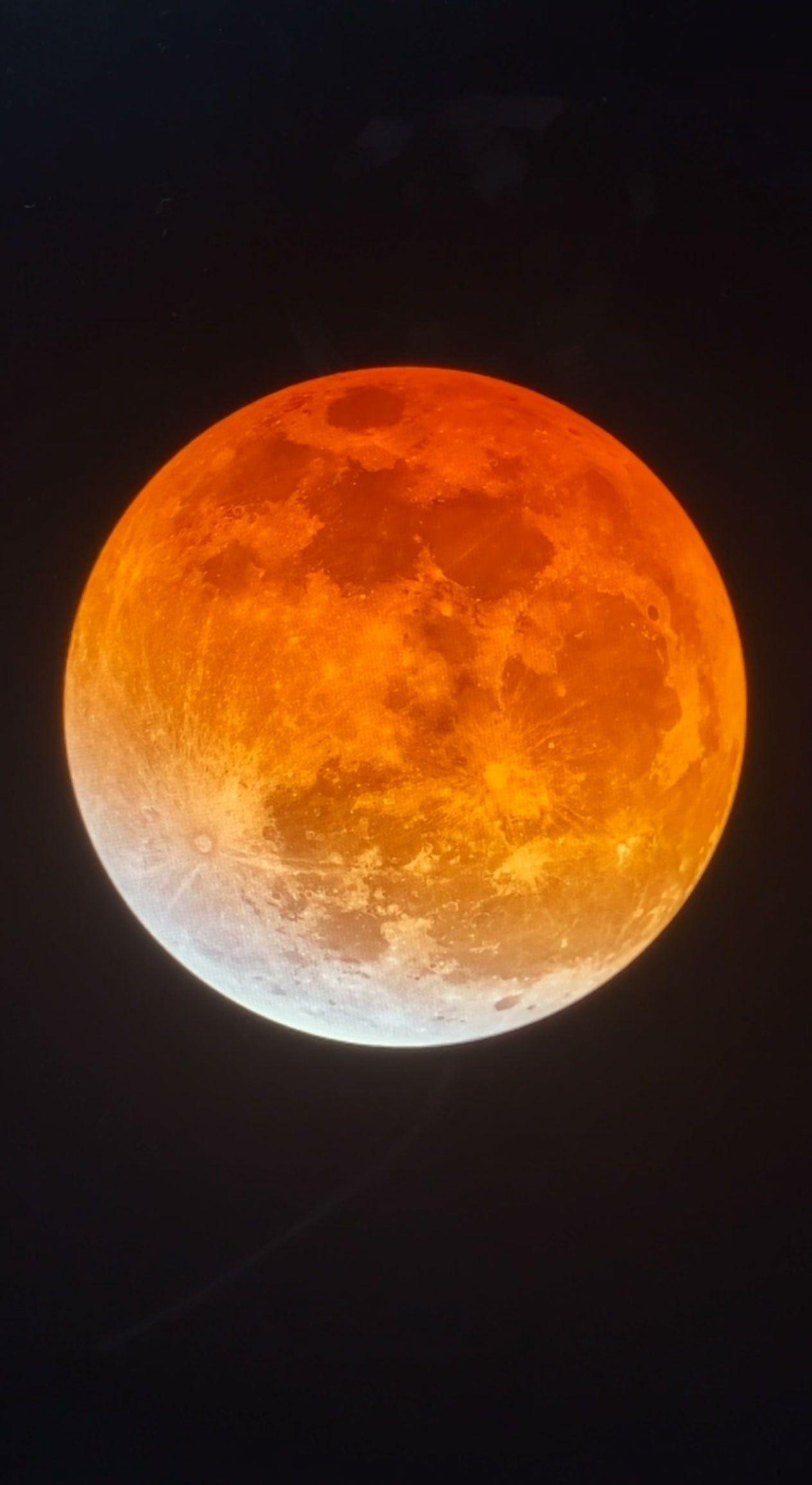 20250908152947_39_449.jpg