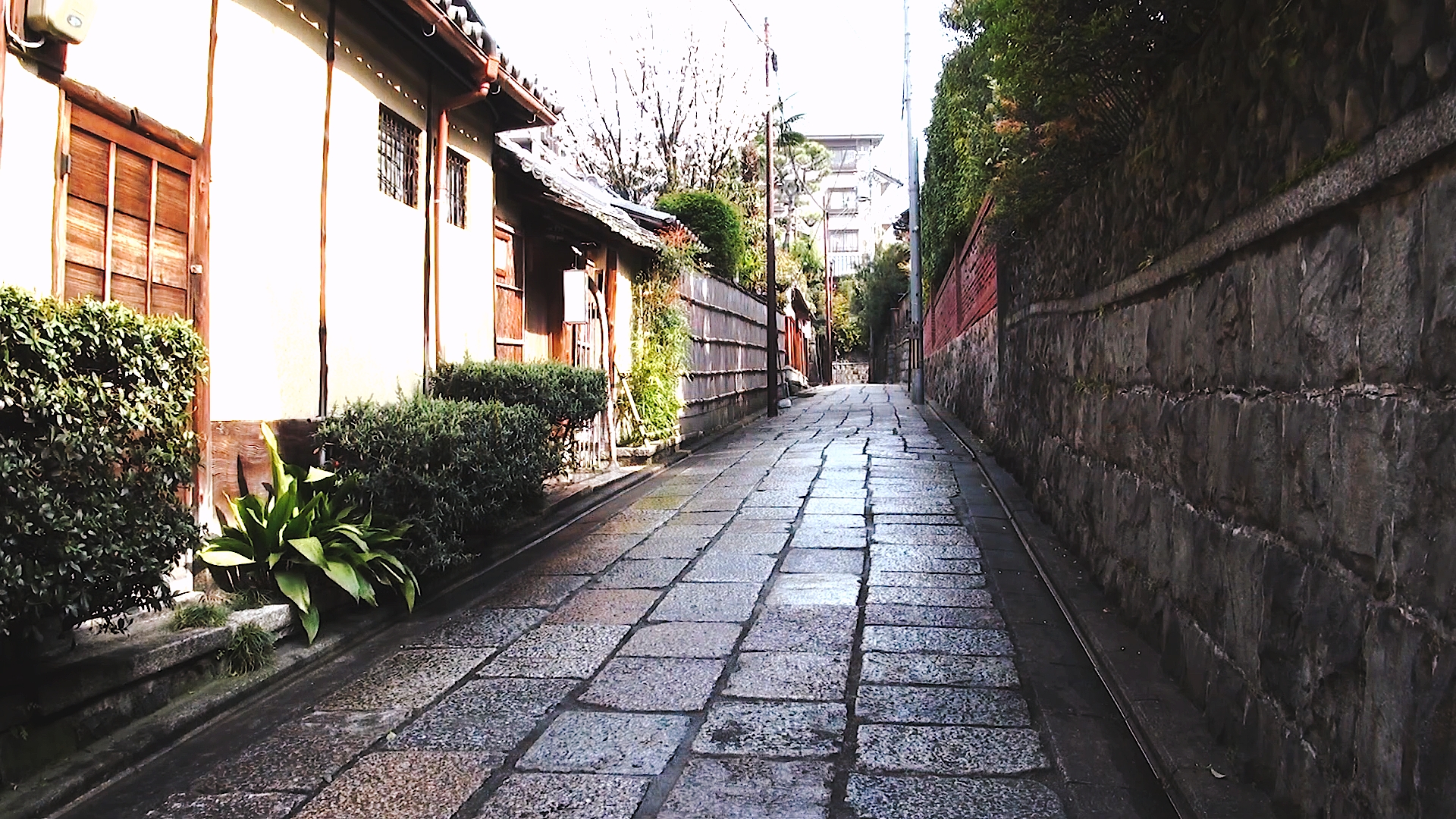 日本京都穷游记